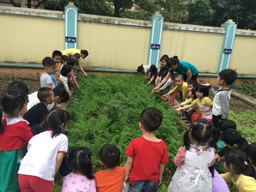 Các bé lớp C2 tích cực tham gia hoạt động chăm sóc vườn rau của bé